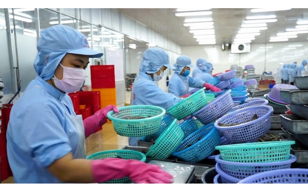 Gi&aacute; t&ocirc;m nguy&ecirc;n liệu sẽ tiếp tục tăng trong năm 2021